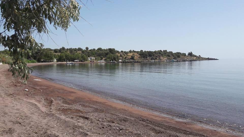Tsonia Armonia Houses מראה חיצוני תמונה